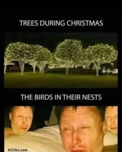 Birds During Christmas Tree Meme