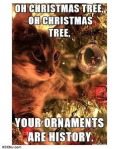 Cat Christmas tree ornaments meme