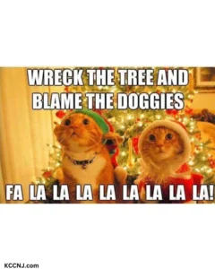 Cat dog wreck christmas tree meme