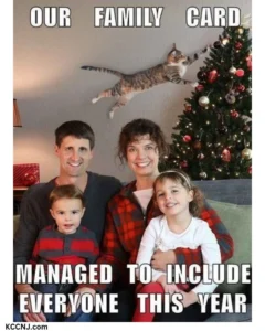 Christmas Family card meme