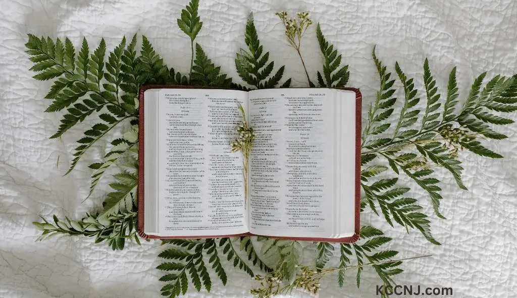 Christmas Joy Bible verses