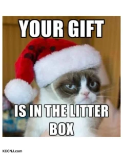 Christmas Cat Litter Box Meme