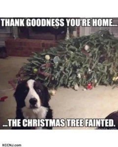 Dog Christmas tree meme