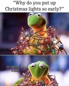 Early Christmas lights meme