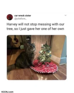 Funny Cat Christmas meme