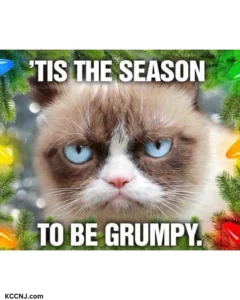 Grumpy cat Tis the season christmas terrible time meme