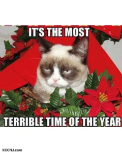 Grumpy cat christmas terrible time meme