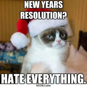 New Year resolution hate everything cat meme