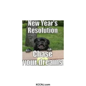 New Year resolutions Chase your dreams dog meme