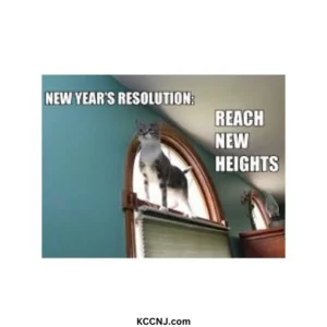 New Year resolutions to Reach more heights cat meme