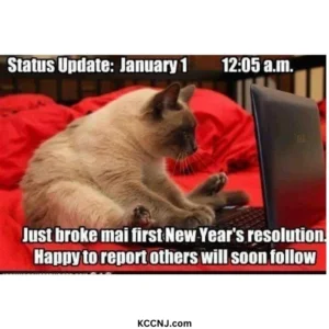 Status update New year meme