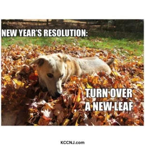 Turn over a new leaf New year meme