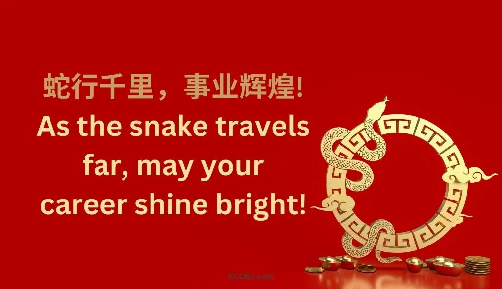 As the snake travels far, may your career shine bright!