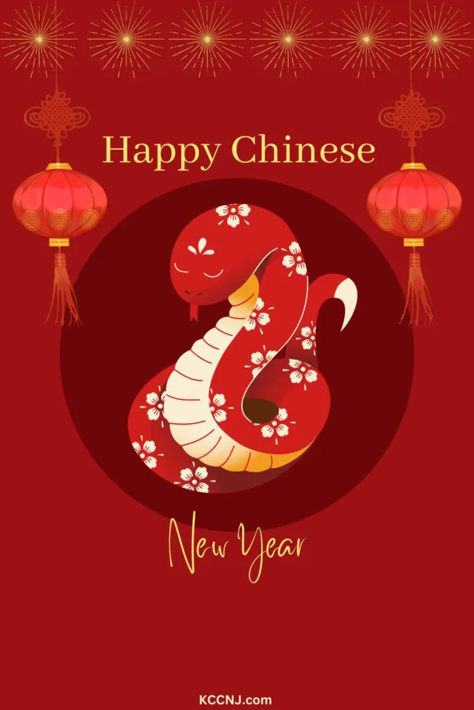 Happy Chinese Party New Year Card