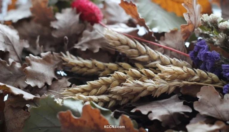 Orthodox Christmas Traditions