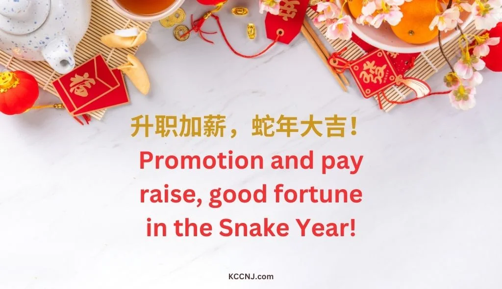 Promotion and pay raise, good fortune in the Snake Year!