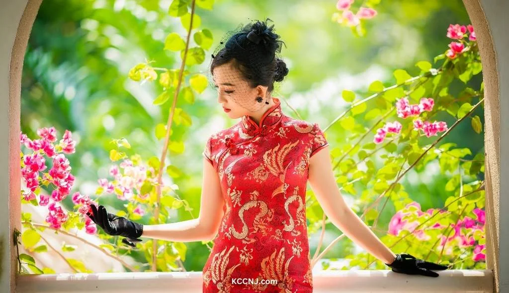 Qipao Cheongsam Chinese new year clothing