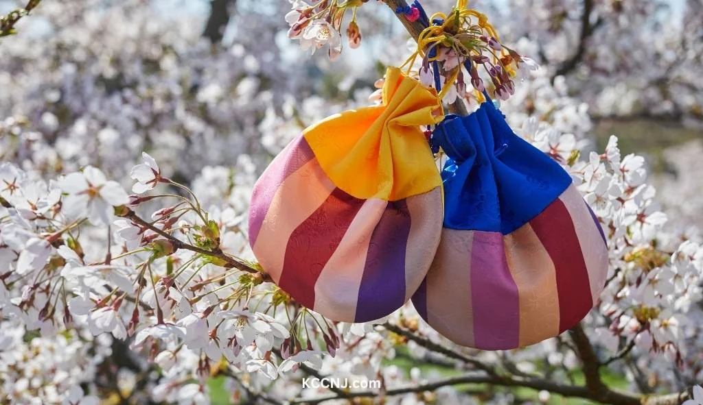 Sebaetdon lucky bag on Cherry blossom Seollal korean new year