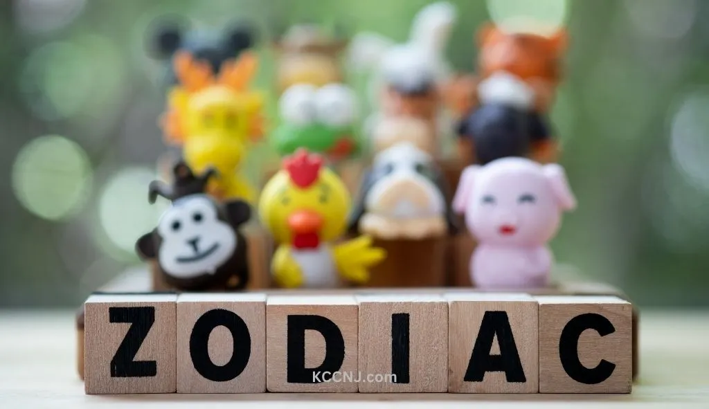 Zodiac Toys meaning