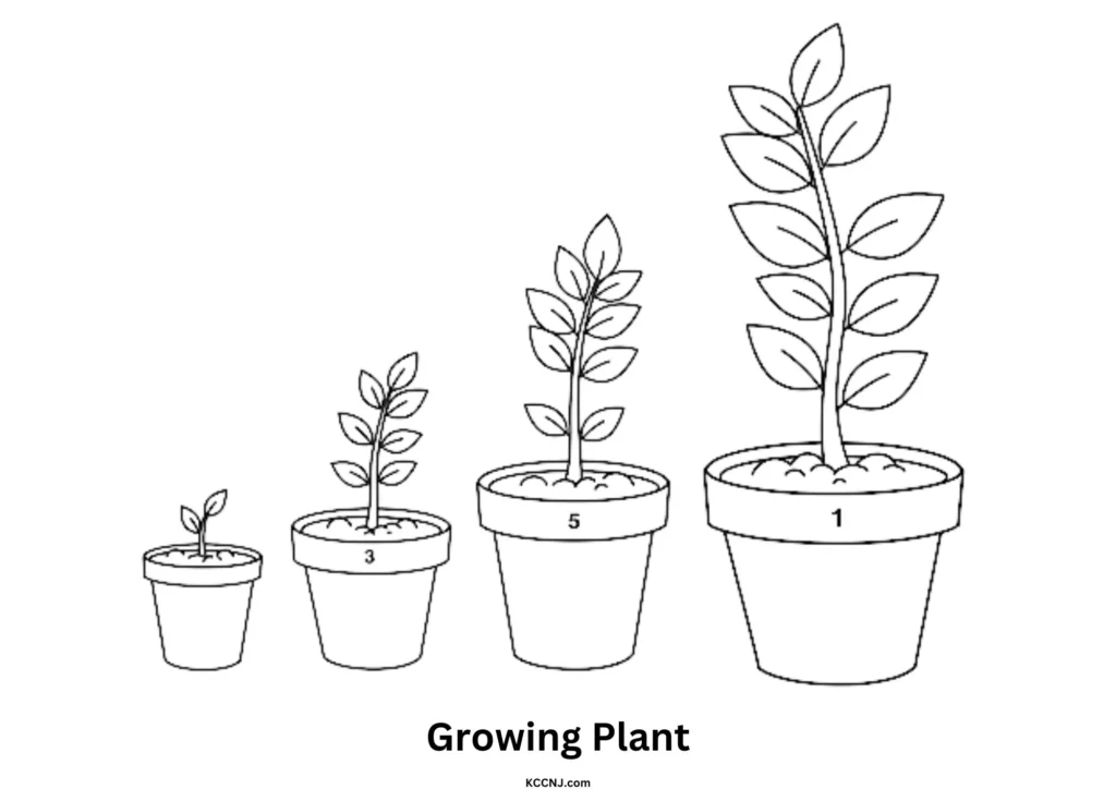 Growing Plant