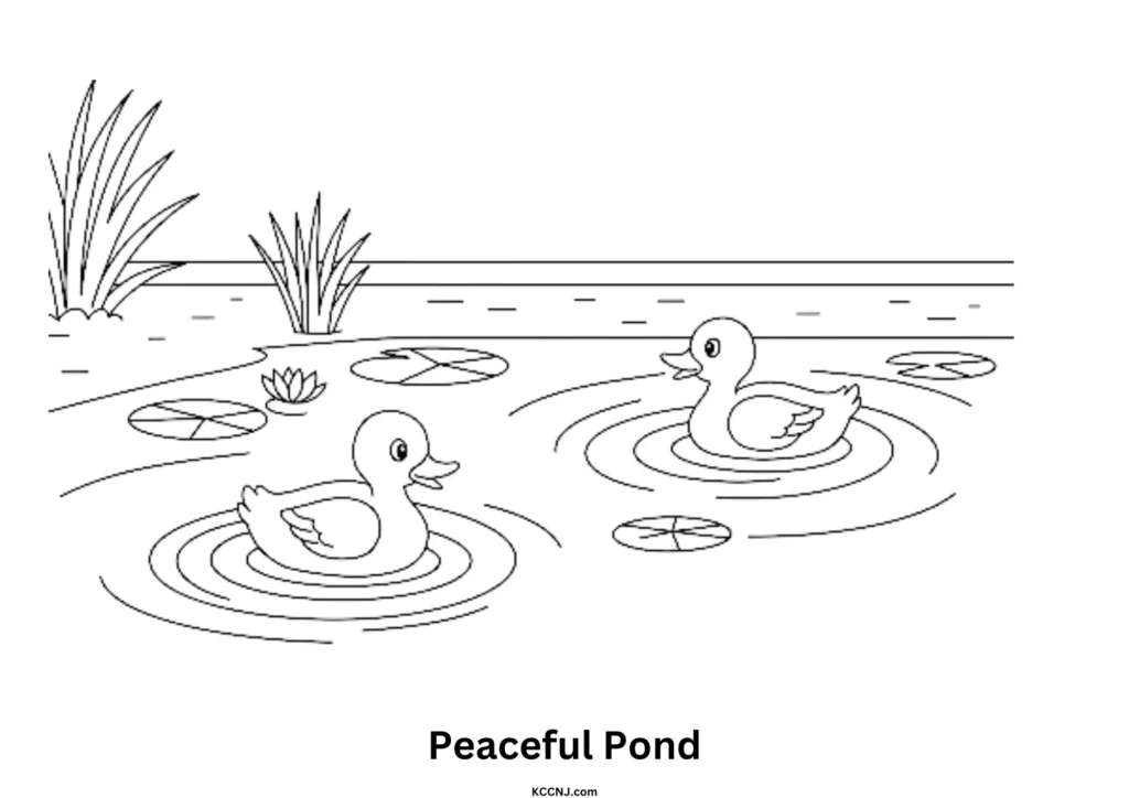 Peaceful Pond