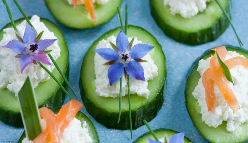 Cucumber Appetizers