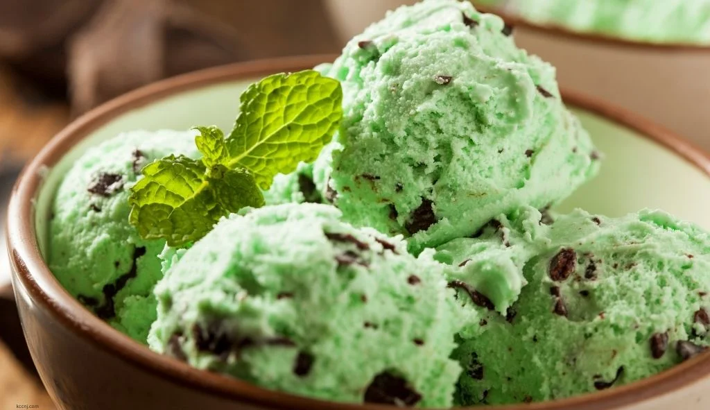 Mint Chocolate Chip Ice Cream